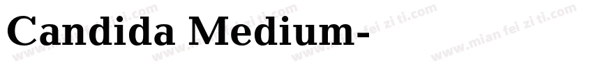Candida Medium字体转换